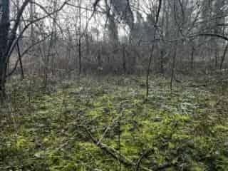 Grond te koop Flémalle 4110m² - Rustig gelegen bouwgrond