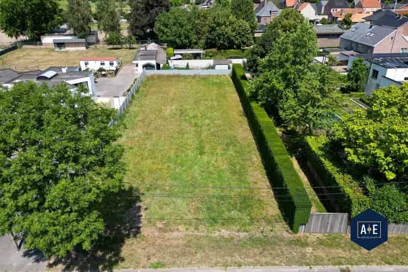 Bouwgrond te Zele 950m² - Open of 2 Halfopen Woningen