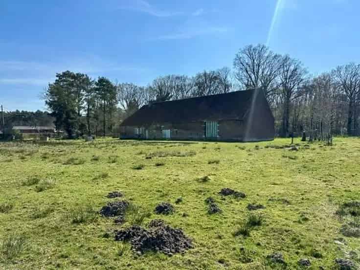 Authentieke Hoeve te Koop 6000m² - Woonst B&B Horeca