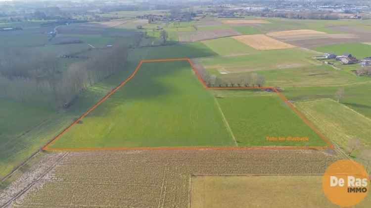 Landbouwgrond te koop in Hillegem met ruime oppervlakte