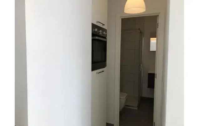 Huur 1 slaapkamer appartement van 42 m² in Antwerp