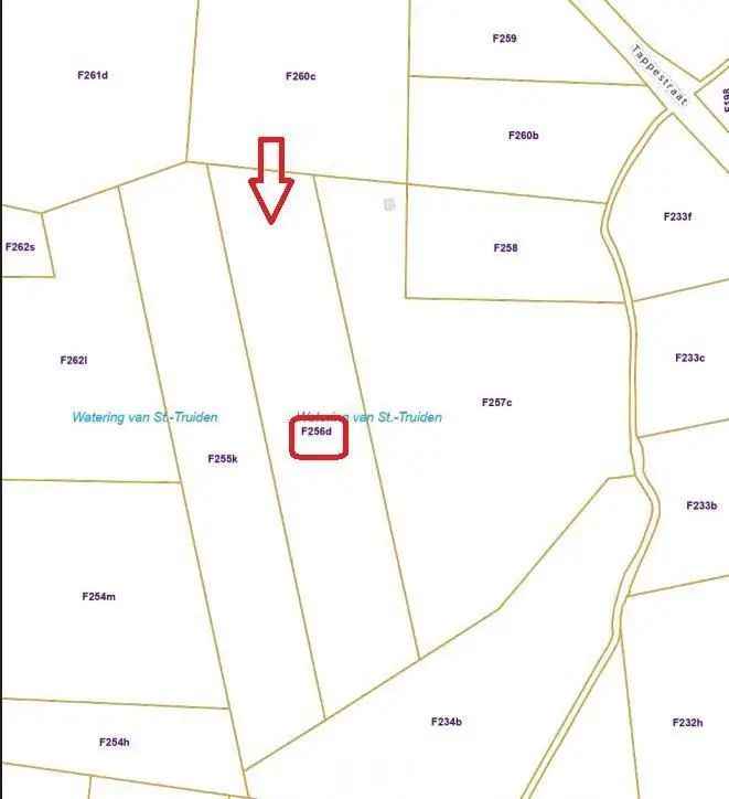 Landbouwgrond te Rummen 68a 94ca Sectie F 0256DP0000