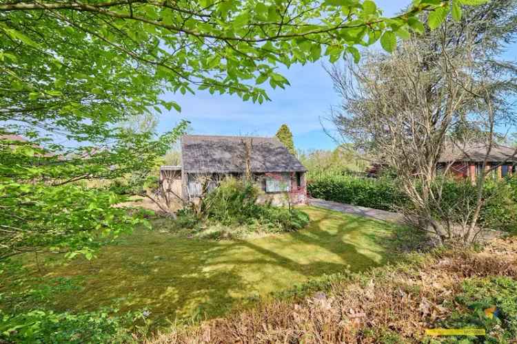 Gelijkvloerse woning met weide voor paard te huur