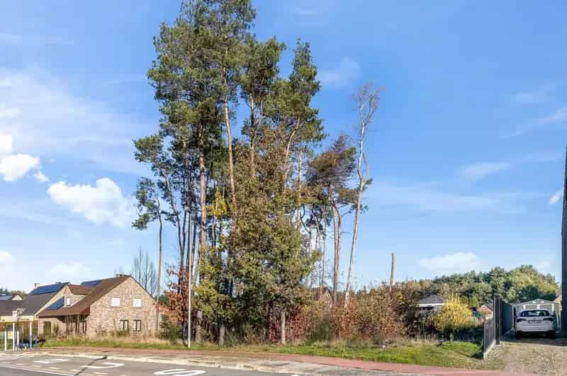 Bouwgrond Ham: Centraal Gelegen Open Bebouwing
