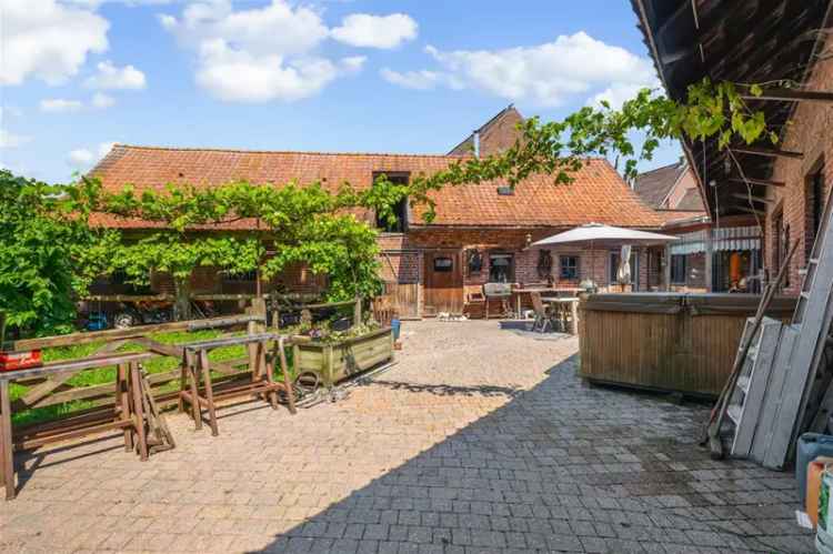 Koop hoeve met ruime schrijnwerkerij en accommodatie voor paarden