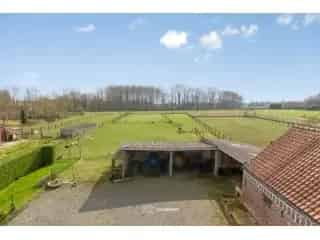 Fermette te koop Asse - Landelijke hoeve met schuren en weide