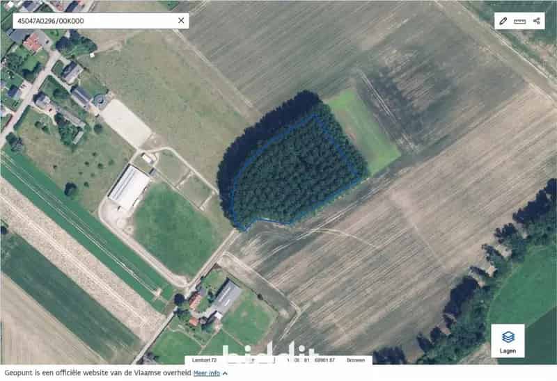 Bosperceel te koop Grootveld 9390m²
