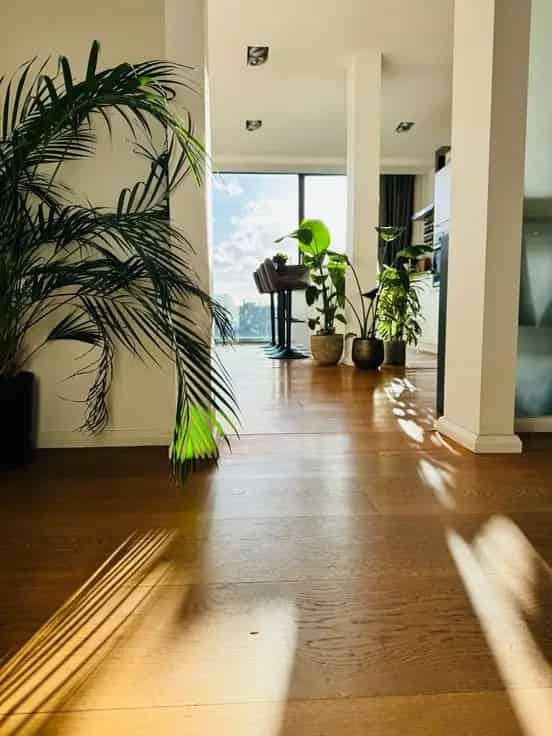 Appartement Te Koop Antwerpen 1 Slaapkamer 70m² Instapklaar