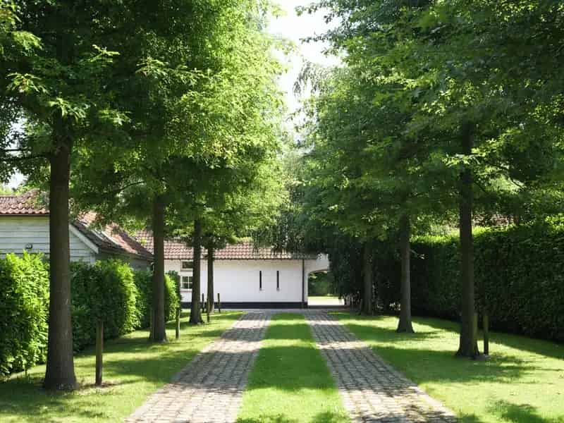 Huis te koop Destelbergen: Landelijke woning met veel potentieel