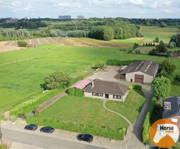 Te koop charmante woning in Dilbeek met grote loods