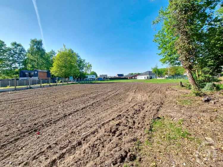 Bouwgrond te Koop Begijnendijk Landelijk Zicht