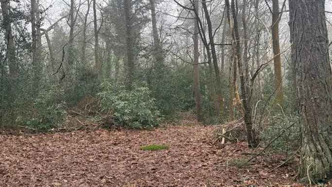 Bouwgrond te koop in Begonialaan 24, Essen - Dewaele