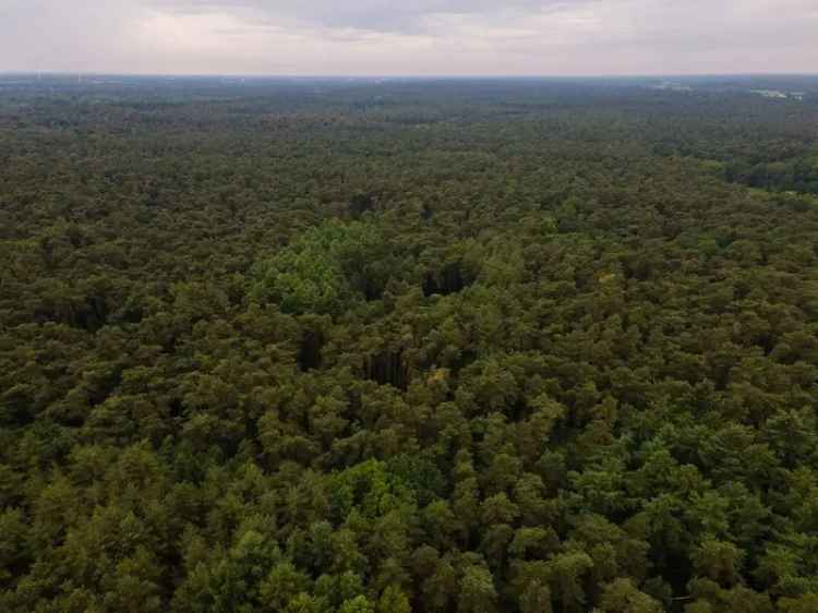 Bos van 1345 m² in rustige omgeving