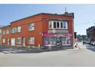 Huis Gemengd Gebruik Te Koop Luik