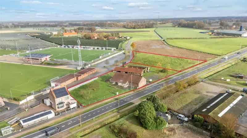 Hoeve te Kinrooi met veel mogelijkheden B&B Camping