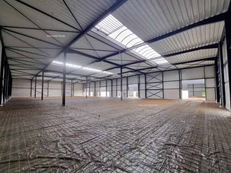 Nieuwbouw Industrieel Gebouw te Huur Buggenhout