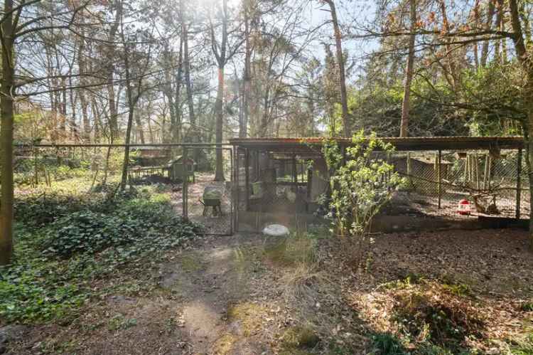 Charmante Bungalow 1 Slaapkamer 2485m² Wuustwezel