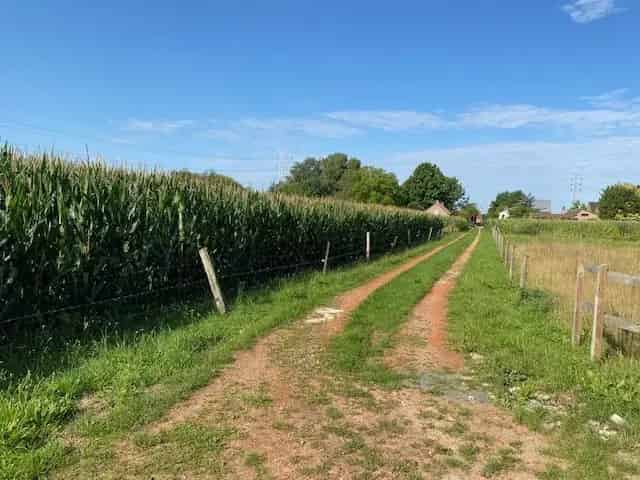 Landbouwgrond te huur Lint 25386m²