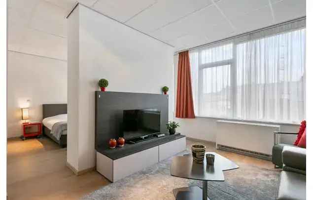 Huur 1 Slaapkamer Appartement 431m² Brussel Centrum