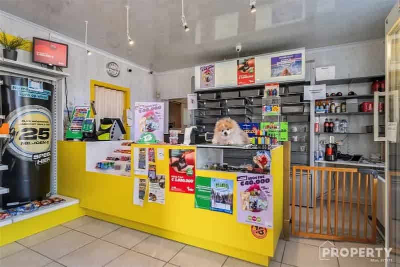 Huis te koop: Instapklare woning met handelsruimte en garages