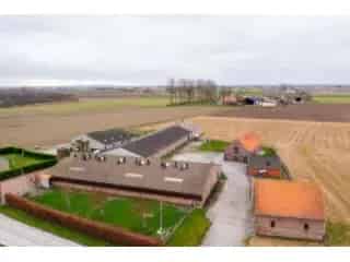 Varkensbedrijf te Koop Leisele 250 Zeugen