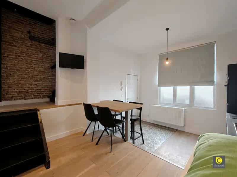 Duplex 1 Slaapkamer Antwerpen Centrum