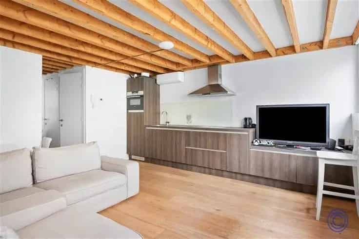 Antwerpen 1 Slaapkamer Appartement Te Koop Kelder