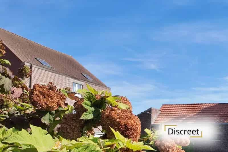 Huis te huur