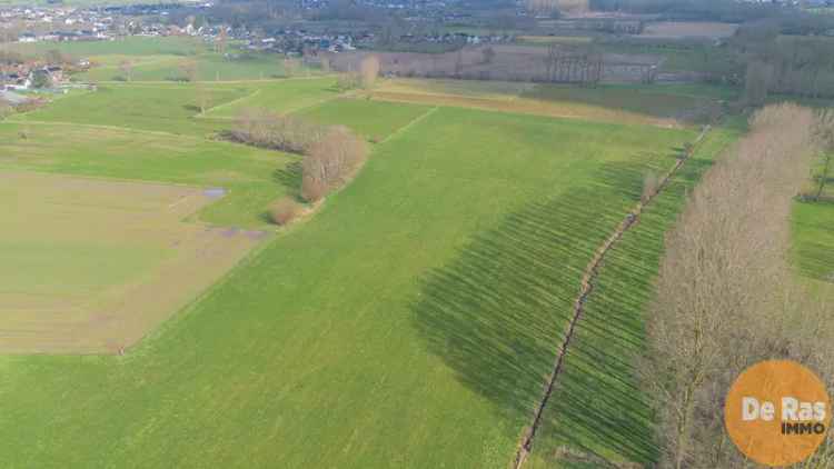 Koop landbouwgronden in Hillegem