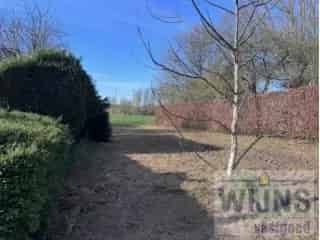 Bouwgrond Koningshooikt - Rustig gelegen met veldenzicht