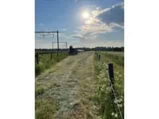Landbouwgrond te koop Warchin 8710m²