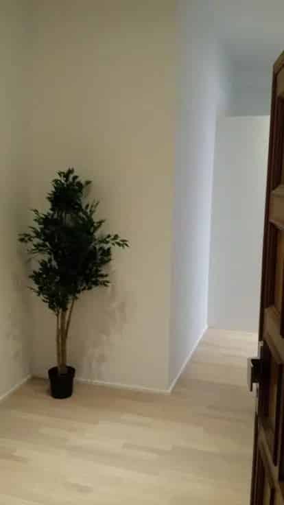 Appartement Te Koop Geen Renovatieplicht