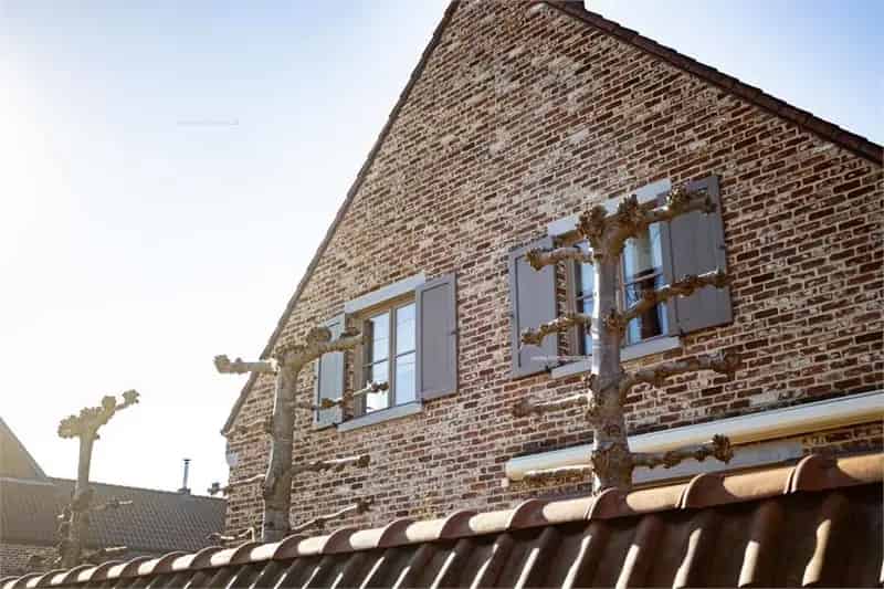 Huis te koop Galmaarden 5 slaapkamers Landelijke hoeve