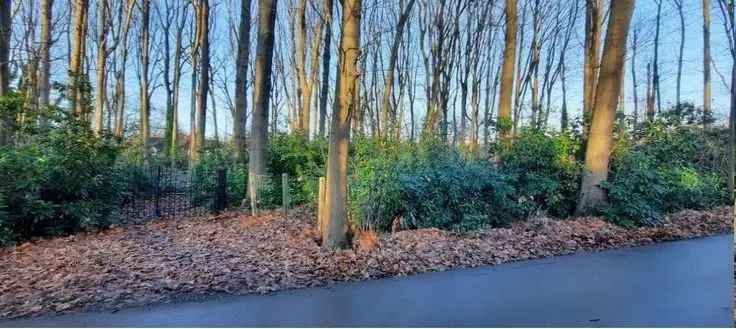 Sprookjesdreef - Uniek perceel bouwgrond in doodlopende straat