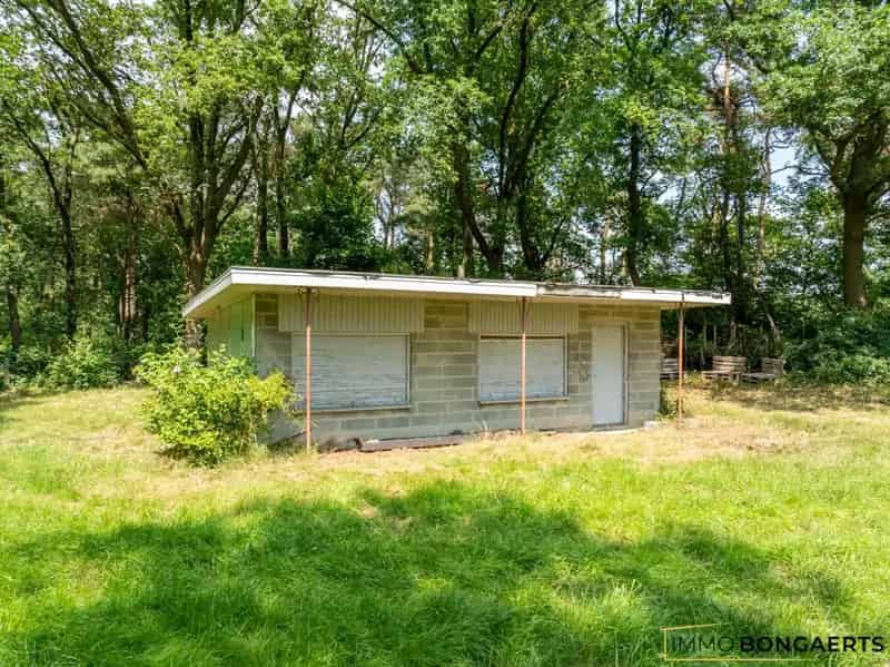 Natuur en Bosgrond Vakantiewoning Volledig Aanbod