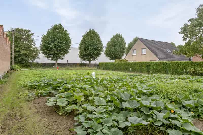 Bouwgrond Wielsbeke 721m² Open Bebouwing Landelijk