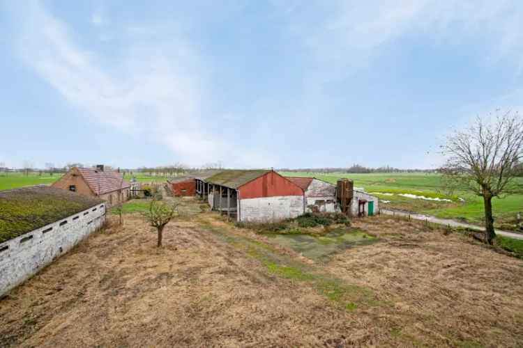 Te renoveren hoeve Landegem 1 hectare bouwgrond