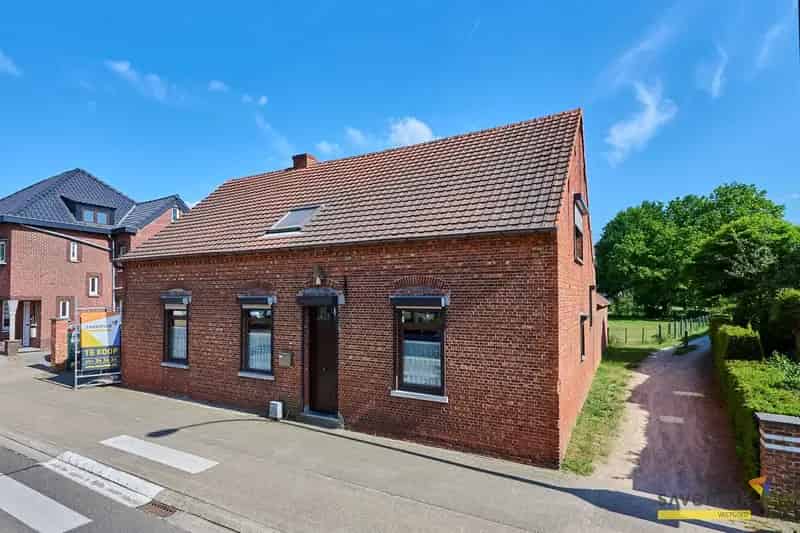 Huis te huur Koersel: 5 slaapkamers, gerenoveerde hoeve