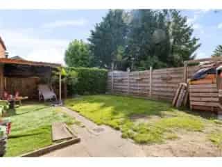 Huis te koop Stekene 3 slaapkamers renovatieproject