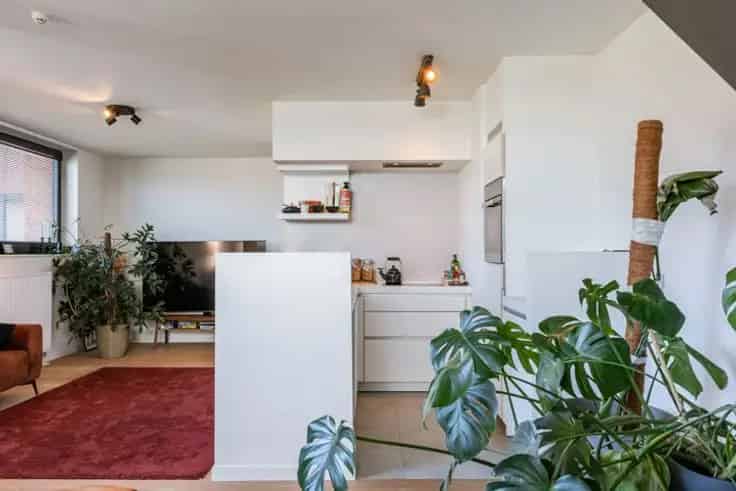Duplex Te Koop Gent: 3 Slaapkamers Nabij Centrum