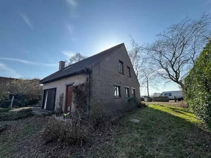 Landelijke woning 3 slaapkamers Moerbeke grote tuin