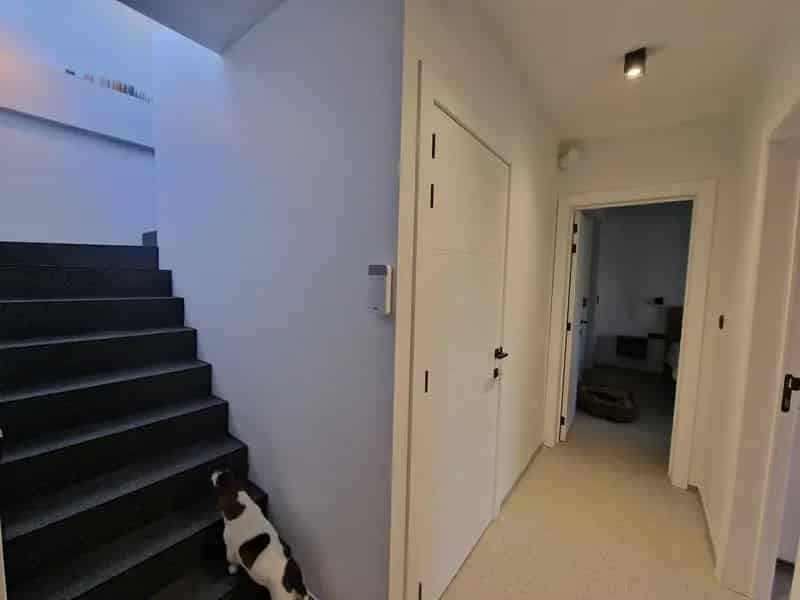 Architectenwoning Halen met Zwembad en Studio