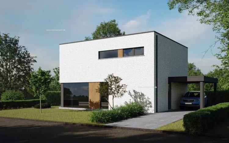 Nieuwbouw Huis 3 Slaapkamers Olsene