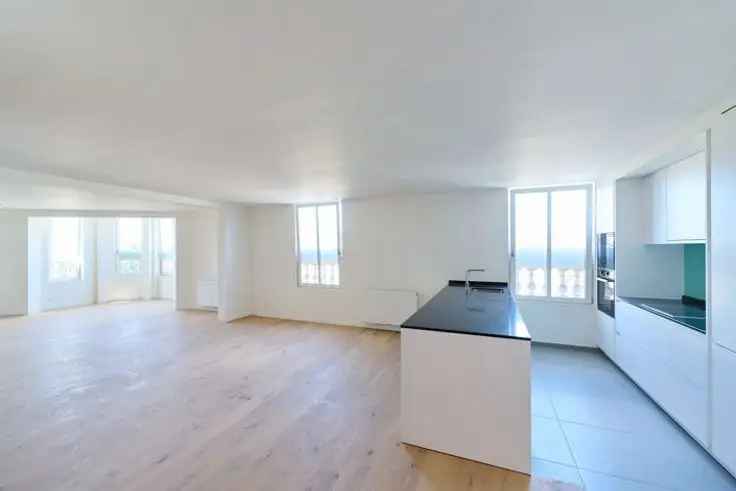 Penthouse Te Koop