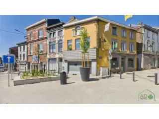 Huis Gemengd Gebruik Fleurus - Wonen en Werken
