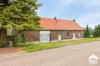 Boerderij - hoeve te koop - Maaseik RBN14681