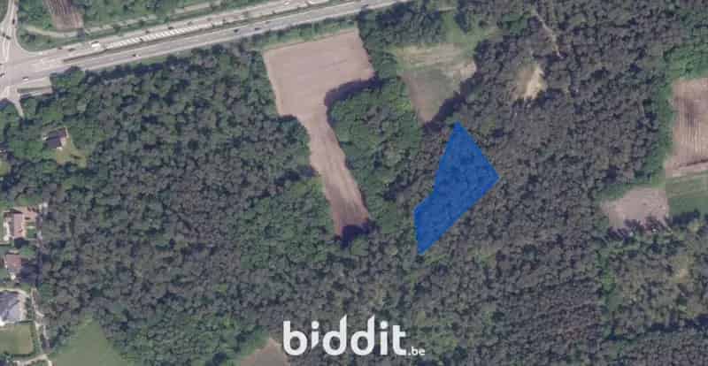 Perceel bos te Vosbergen 30a99ca