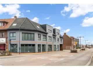 Handelspand te koop - Beringen RBU17154