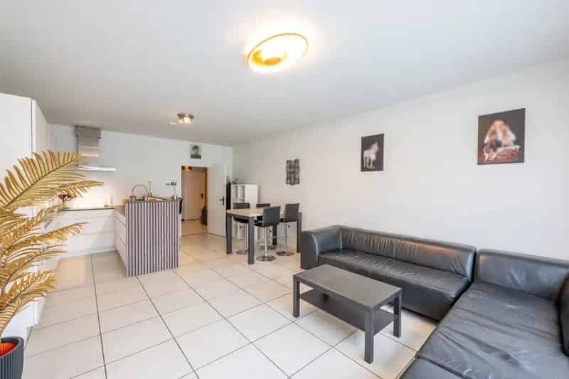 Appartement te huur gelijkvloers met terras Schelde