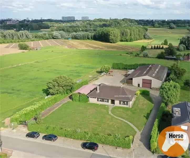 Villa te koop Dilbeek 4 slaapkamers grote loods